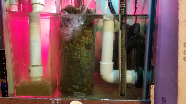 20171105_165323.jpg 20171105_165323.jpg