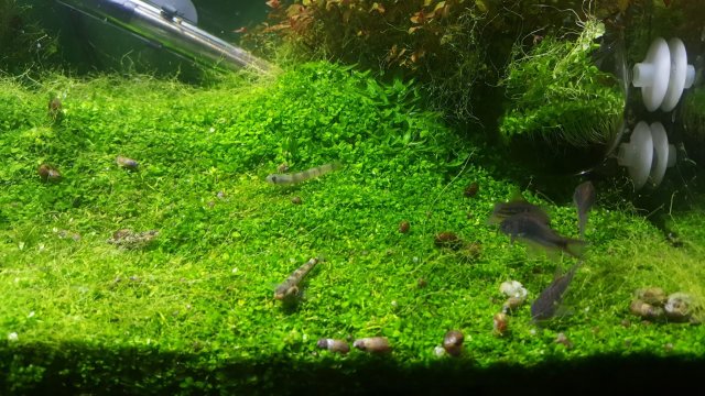 20171202_170250.jpg 20171202_170250.jpg