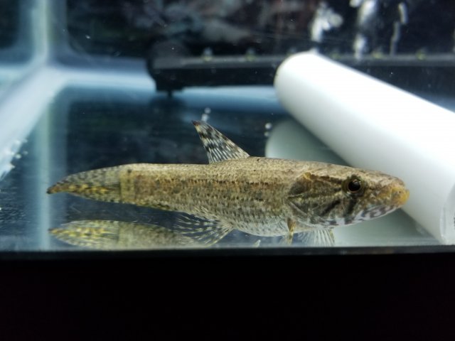 20171130_203842.jpg 20171130_203842.jpg