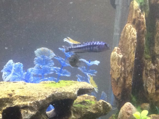 TMA: Mon Dec 04 2017 12:15:30 GMT-0500 (EST).jpg