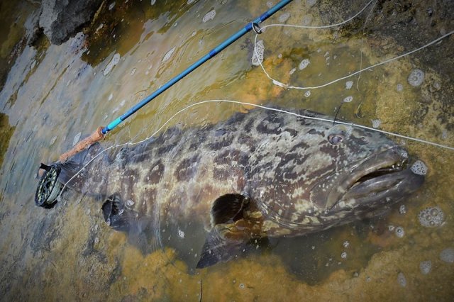 256ab1010d9e700358d673f2c0353e24.jpg 256ab1010d9e700358d673f2c0353e24.jpg