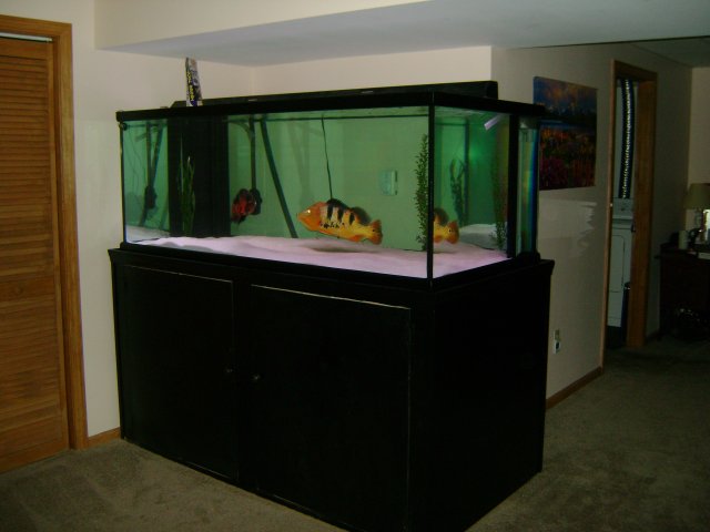 DSC00308.JPG DSC00308.JPG