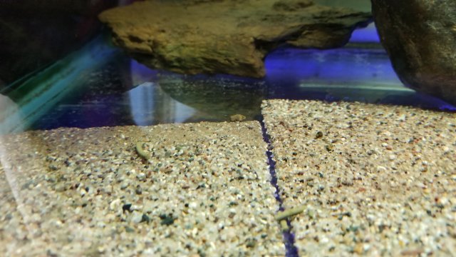 20171126_075832.jpg