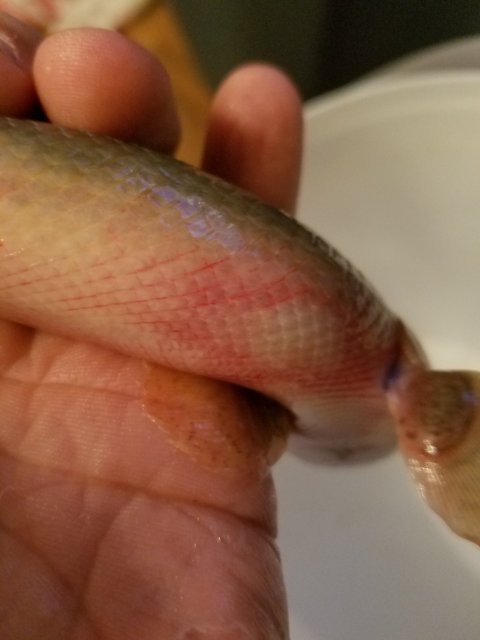 20171207_184006.jpg 20171207_184006.jpg