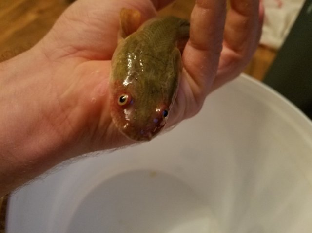 20171207_184034.jpg 20171207_184034.jpg