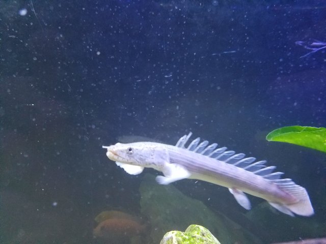 20171102_225717.jpg 20171102_225717.jpg