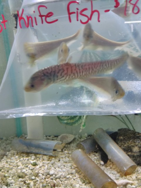IMG_20171206_160404.jpg