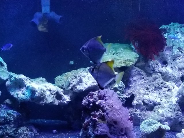 20171208_114749.jpg