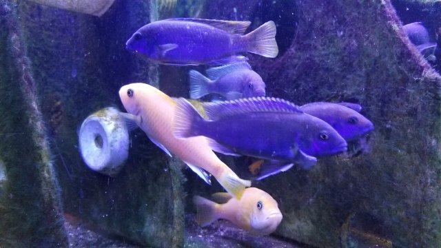 20171208_204011.jpg