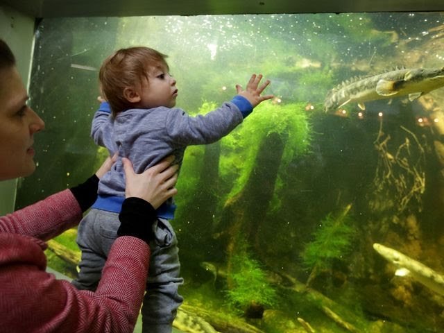 636471625918681427-ruck-Aquarium-SECONDARY.jpg