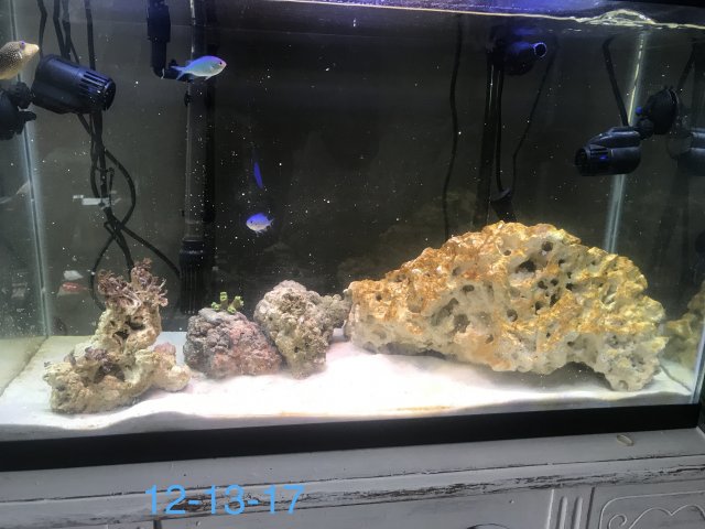 IMG_1538.JPG IMG_1538.JPG