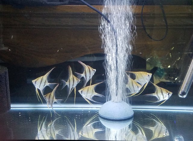 20171209_203803.jpg 20171209_203803.jpg