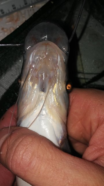 20171126_151714.jpg