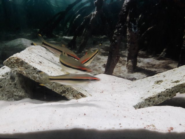 20171215_213601.jpg