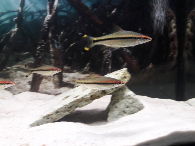 20171215_213604.jpg