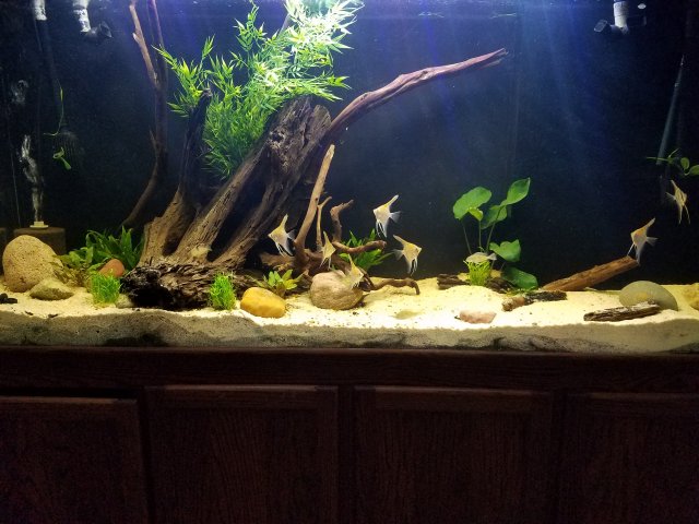 20171216_160005.jpg 20171216_160005.jpg