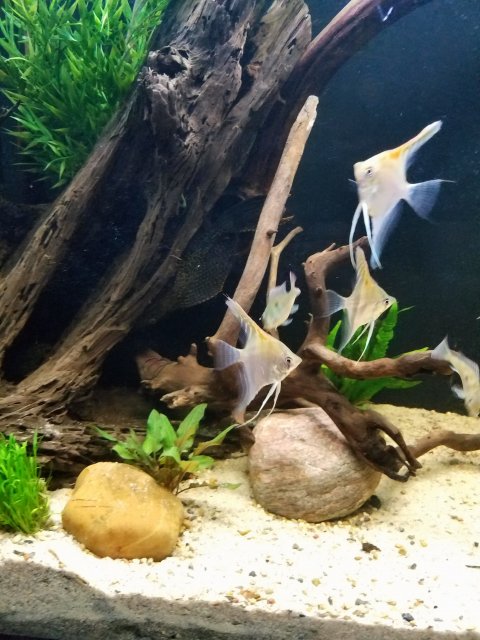 20171216_160017.jpg 20171216_160017.jpg