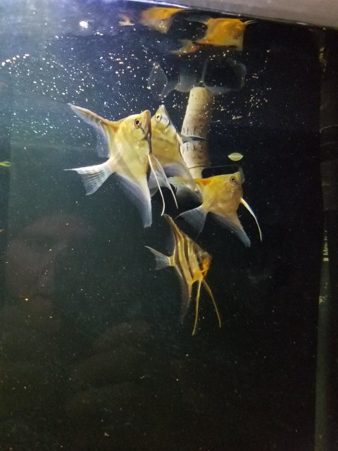 20171216_160158.jpg 20171216_160158.jpg