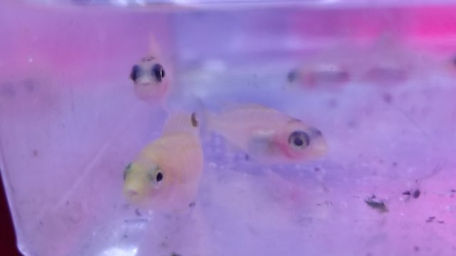 20171216_164205.jpg