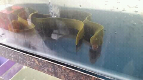 FB_IMG_15118953866386854.jpg FB_IMG_15118953866386854.jpg