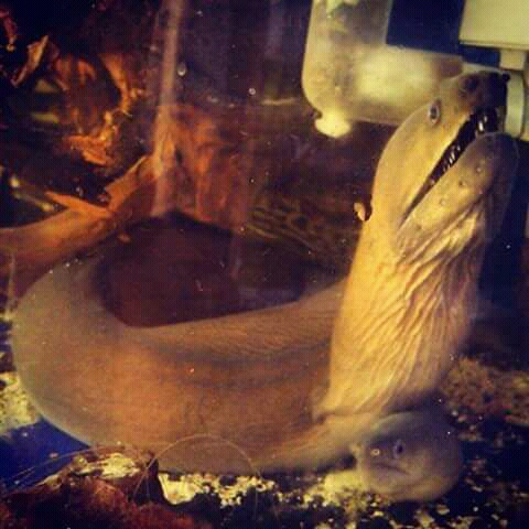 FB_IMG_15130096098709443.jpg FB_IMG_15130096098709443.jpg