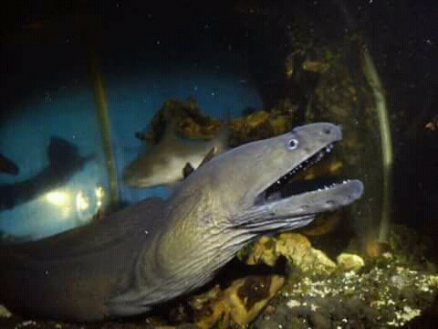 FB_IMG_15130096244477901.jpg FB_IMG_15130096244477901.jpg