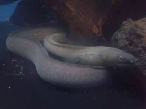 FB_IMG_15130096475585658.jpg FB_IMG_15130096475585658.jpg