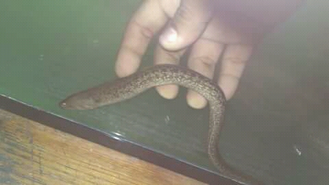 FB_IMG_15132696879826937.jpg FB_IMG_15132696879826937.jpg