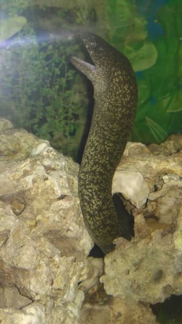 FB_IMG_15132696827138243.jpg FB_IMG_15132696827138243.jpg