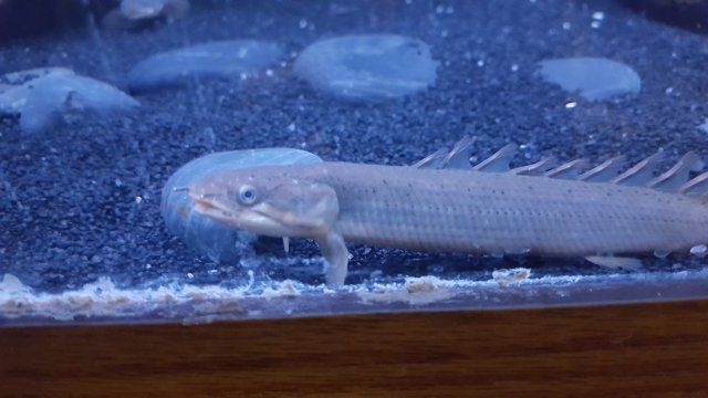 20171218_162238.jpg 20171218_162238.jpg