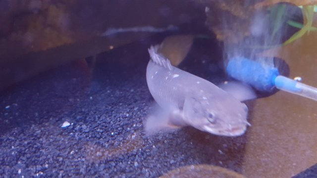 20171218_164016.jpg
