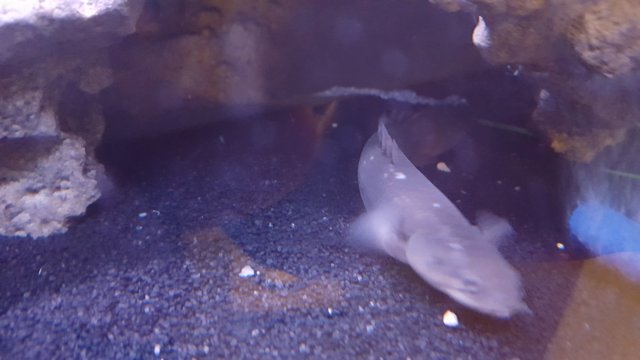 20171218_164007.jpg
