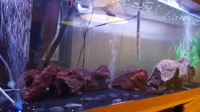 20171218_163919.jpg