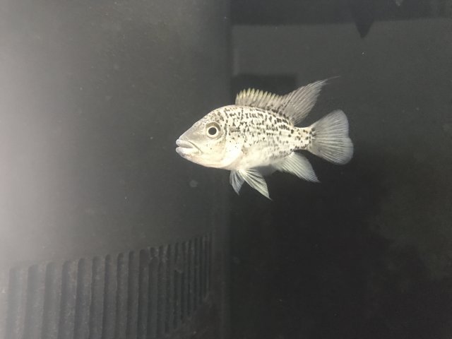 E409F03A-549C-4C1A-934F-838FEB686415.jpeg