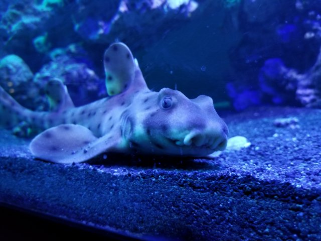 20171005_172524.jpg