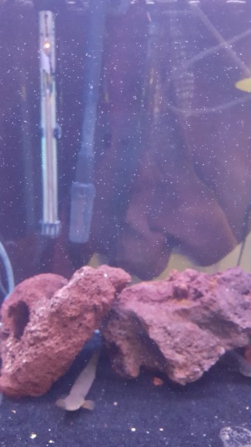 20171219_161928.jpg