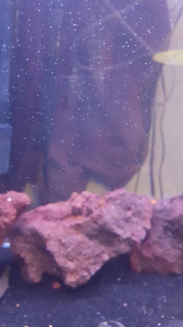 20171219_161902.jpg