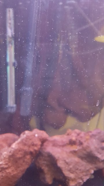 20171219_161436.jpg