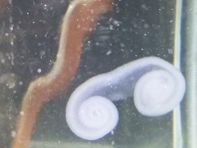 20171219_180004.jpg
