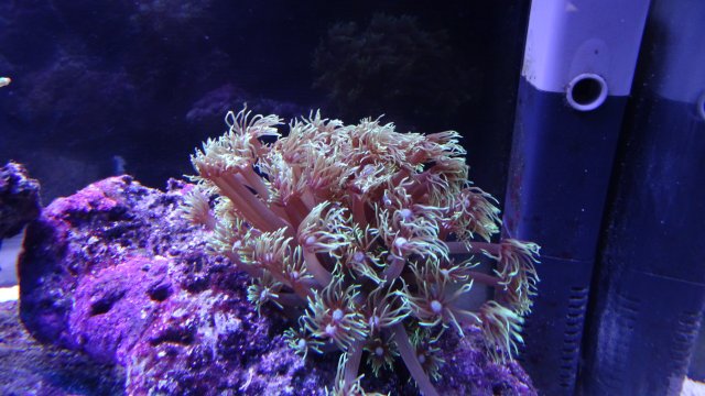 DSC03078.JPG