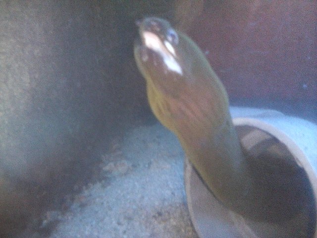 IMG_20171130_190228.jpg IMG_20171130_190228.jpg