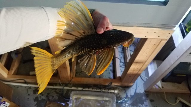 20171221_141047.jpg