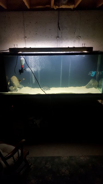 20171110_210737.jpg