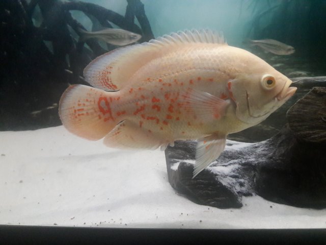 20171011_232832.jpg