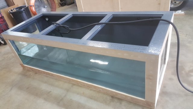 20171020_141903.jpg