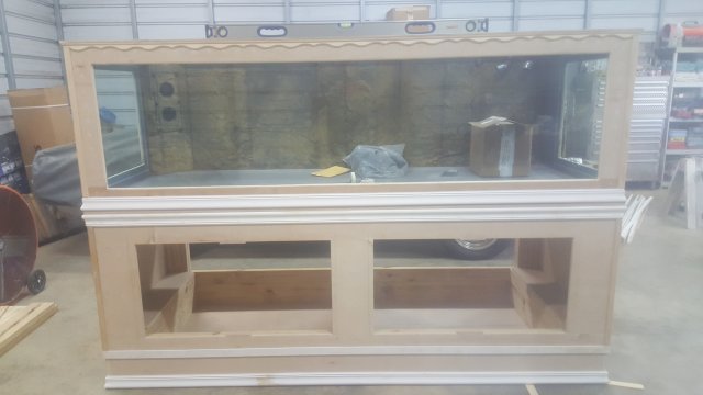 20171123_165554.jpg