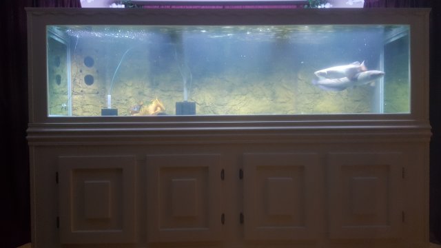 20171221_202327.jpg