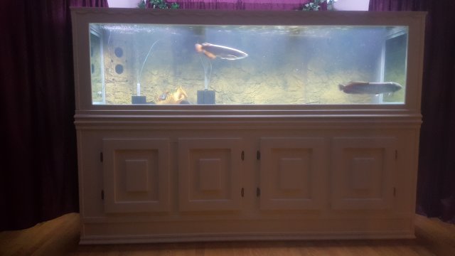 20171221_202335.jpg