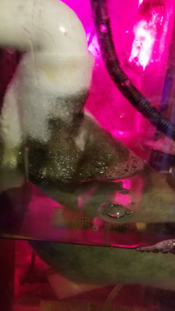 20171223_093928.jpg 20171223_093928.jpg