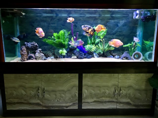 F0291237-EE88-40DC-BDCC-463395D3D2DC.jpeg F0291237-EE88-40DC-BDCC-463395D3D2DC.jpeg